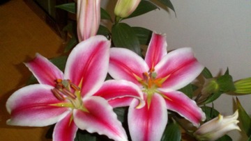 2011-02-24_11-32-39_573.jpg