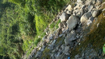 2011-08-27_15-50-05_364.jpg
