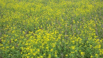 2011-02-24_16-27-13_881.jpg