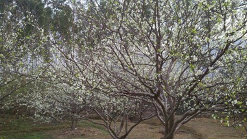 2011-02-25_16-40-06_844.jpg