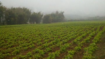 2011-03-12_17-54-55_270.jpg