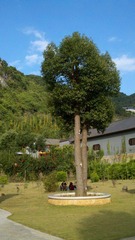 2011-11-12_15-53-04_32.jpg