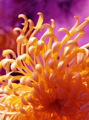 P1010281