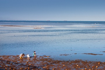 CRW_6099