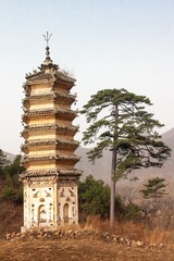 CRW_9837