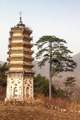CRW_9837