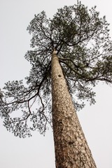 CRW_9834