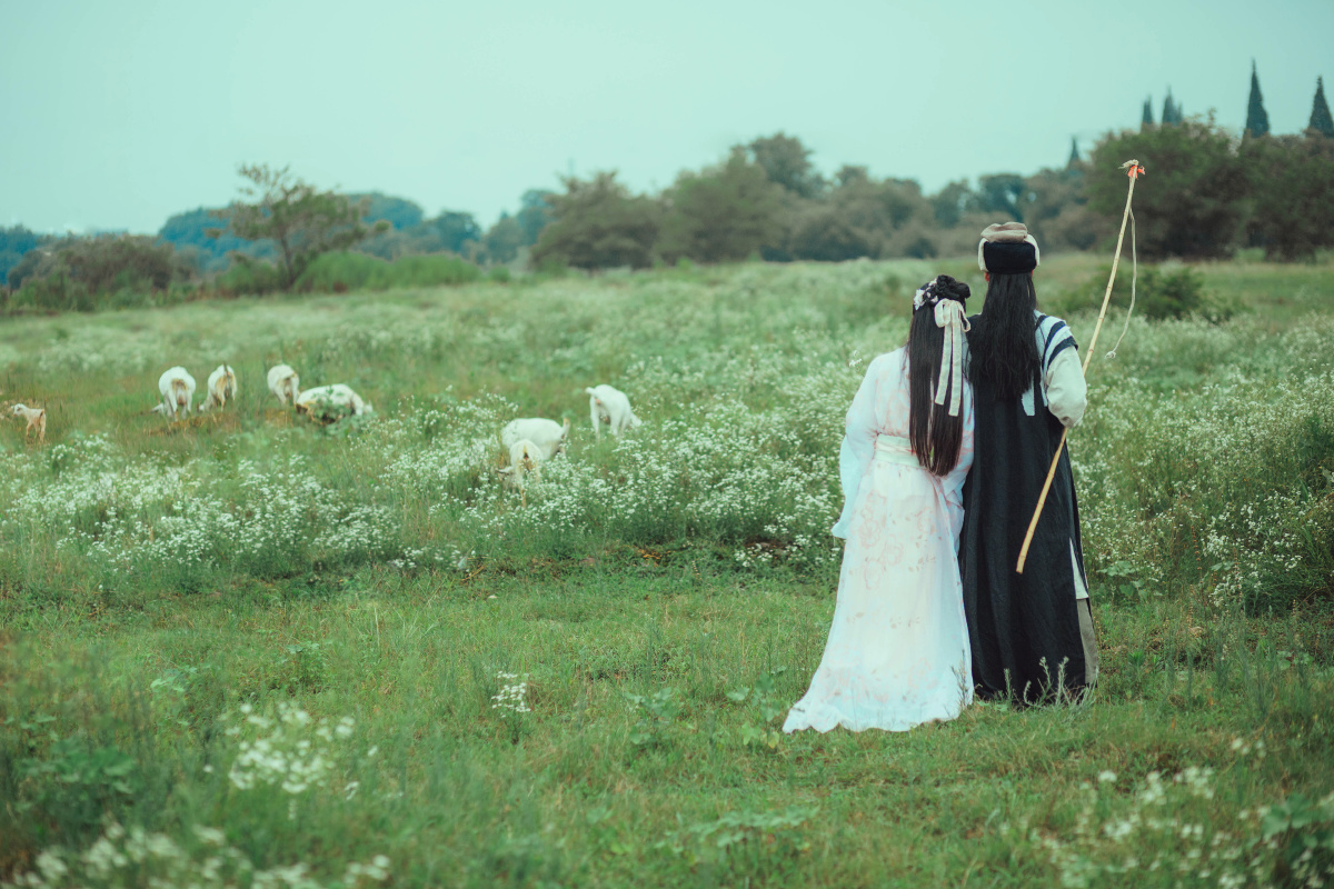 塞上牛羊空许约