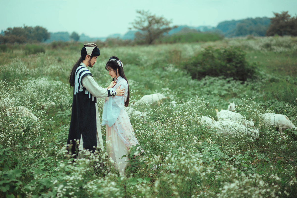 塞上牛羊空许约