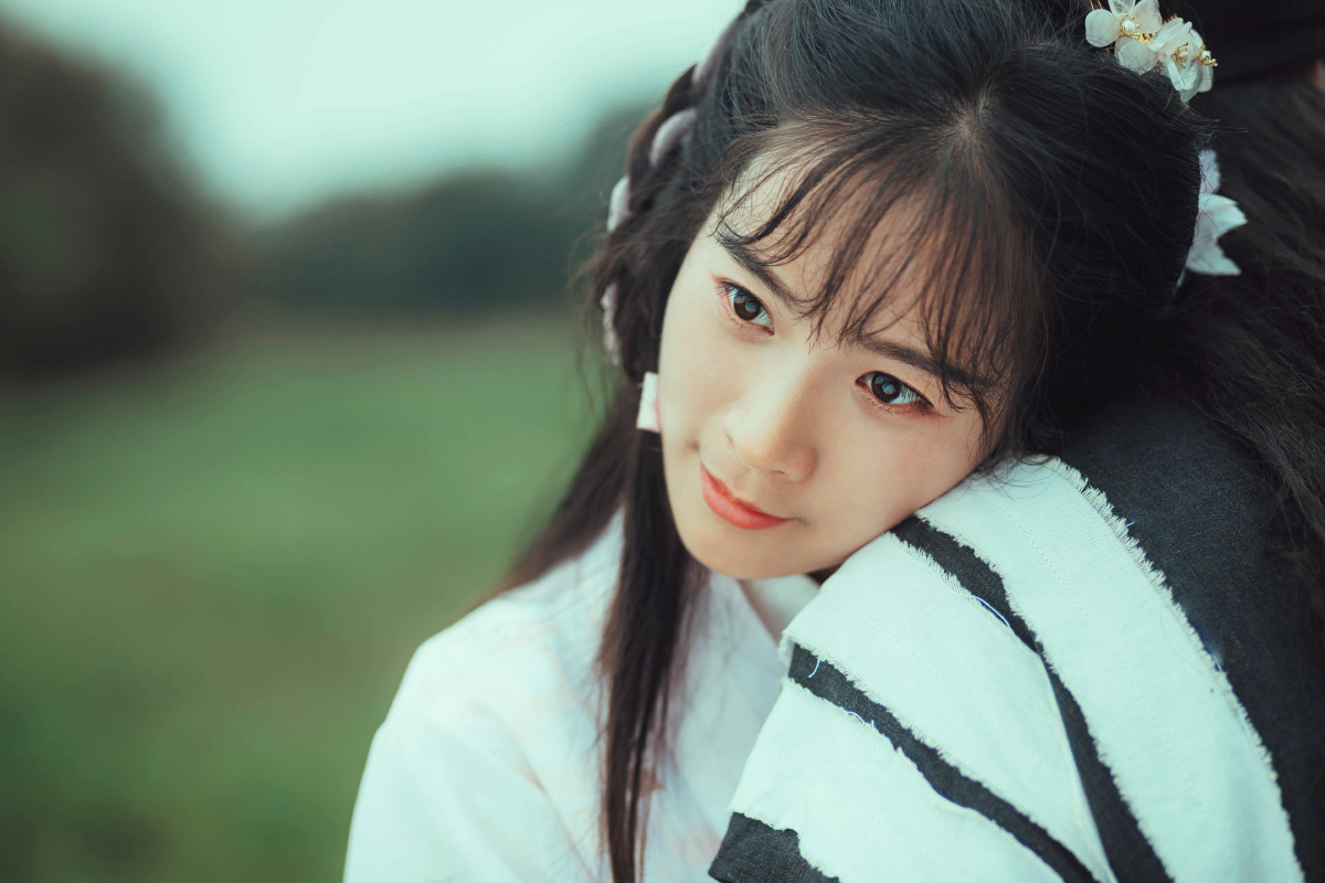 塞上牛羊空许约