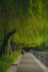 7B5C5F47-2ECB-42B9-811A-362CD5D32BA8/L0/001