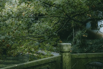 3411D847-5AB5-4E0D-BD21-8B20AC0D7AF0/L0/001