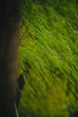 D604F7FB-EC48-4ECE-9855-0477B3403AB8/L0/001