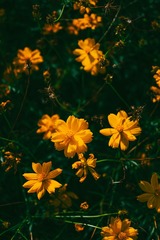 A6A6A4C5-733B-49E8-AA9B-506D5EBC5304/L0/001