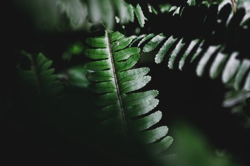FC67B8CF-DEE3-49A2-B0E5-B3550D9F77C7/L0/001