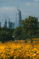 9C3E75DA-53BA-4FB3-9870-D3EA70A7510B/L0/001