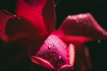 E93F7B01-5AF3-4E0F-BB6D-023EC0C58DDF/L0/001