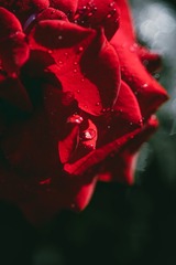 6D09CF0B-289B-4FC0-BE2D-4831C63B5D59/L0/001