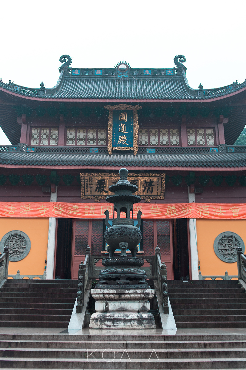 考拉作品中天竺法净寺