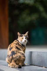 20160827-_ZD41281-1