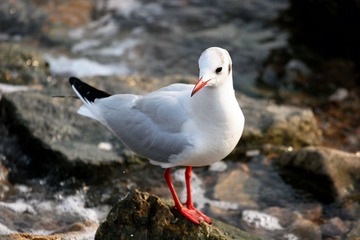 IMG_4084.JPG