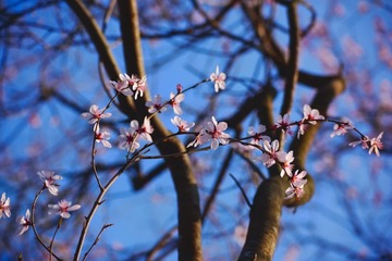 _DSC4119_labSharp