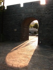 IMG_0277.jpg