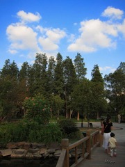 IMG_0285.jpg