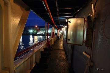 IMG_1381.jpg