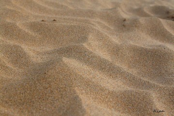 IMG_1510.jpg