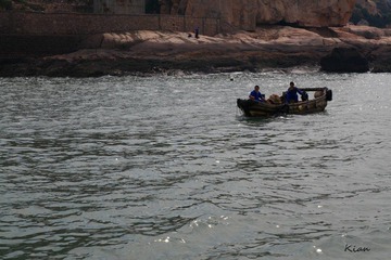 IMG_1728.jpg