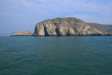 IMG_2049.jpg