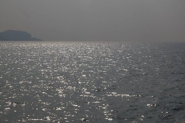 IMG_2075.jpg