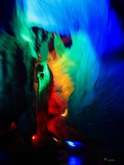 IMG_0557.jpg