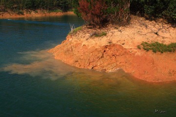IMG_2528.jpg