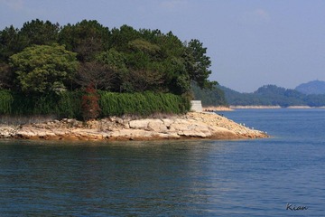 IMG_2596.jpg