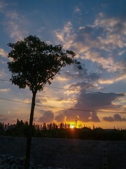 IMG_20120806_183250