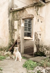 IMG_20121107_091156