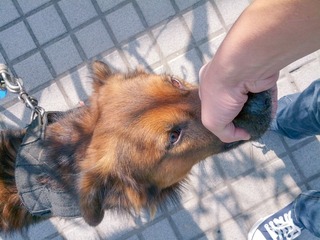 IMG_20121111_113845
