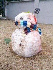 IMG_20130108_115059