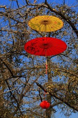 IMG_3521.jpg