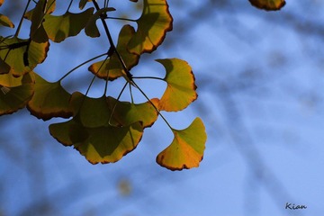 IMG_3532.jpg