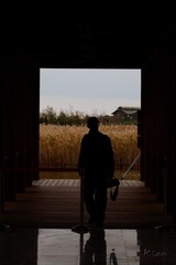 IMG_3760.jpg