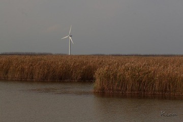 IMG_3781.jpg