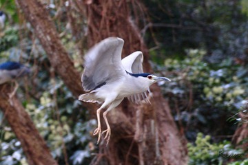 IMG_5182.jpg