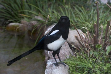 IMG_5303.jpg