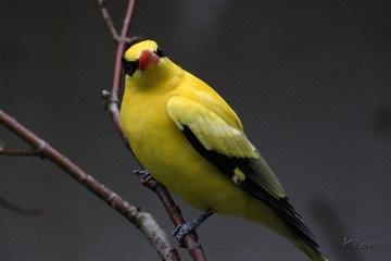 IMG_5315.jpg