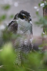 IMG_5319.jpg