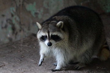 IMG_5398.jpg
