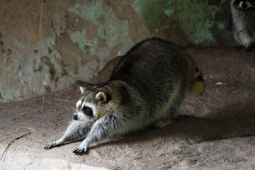IMG_5399.jpg